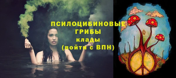 амф Володарск