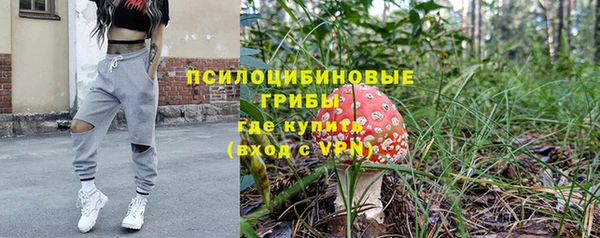 apvp Волоколамск