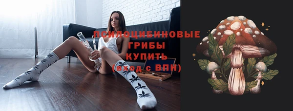амф Володарск