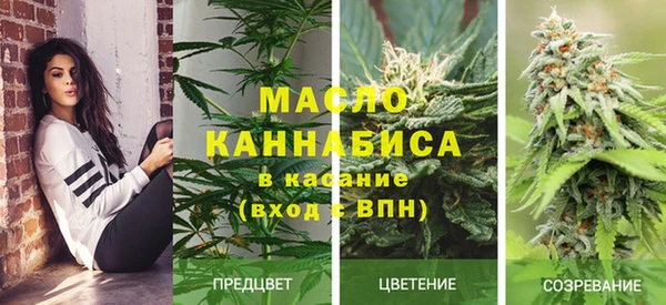 амф Володарск