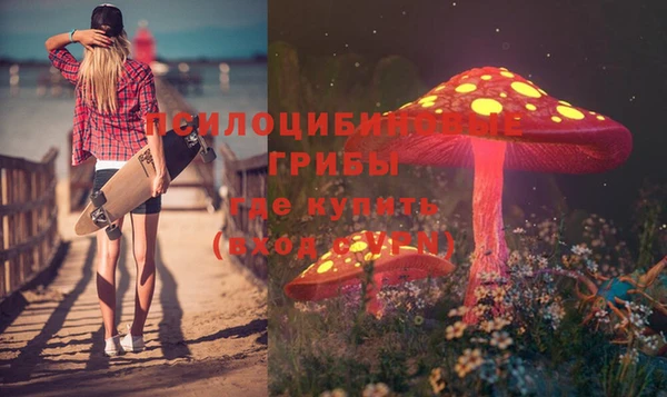ALPHA PVP Волосово