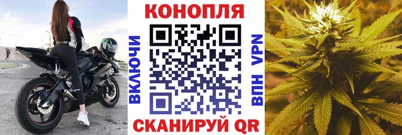 Канабис планчик Муром